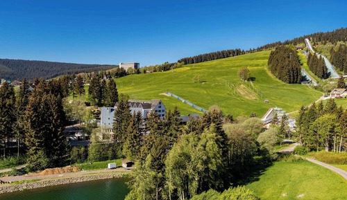 Suite, 1 cama de matrimonio grande