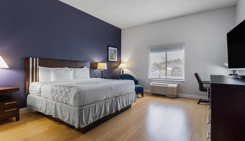 Habitación estándar, 1 cama de matrimonio grande, accesible para personas con discapacidad