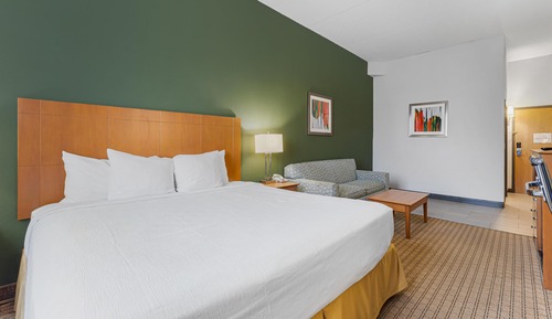 Habitación estándar, 1 cama de matrimonio grande, no fumadores (Shower Only;with Sofabed)