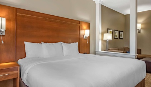 Suite, 1 cama de matrimonio grande con sofá cama, accesible para personas con discapacidad