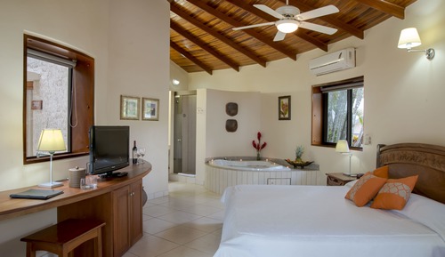 Suite (Tropical Suite - Jacuzzi)