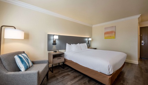 Habitación estándar, 1 cama de matrimonio grande, no fumadores