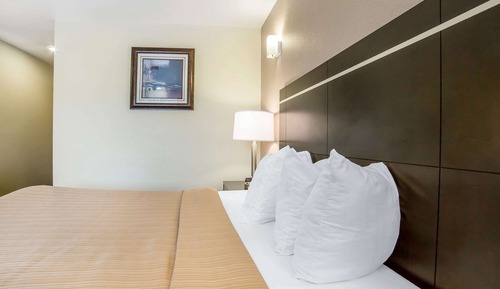 Habitación estándar, 1 cama de matrimonio, no fumadores