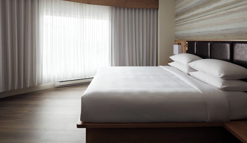 Suite, 1 cama de matrimonio con sofá cama