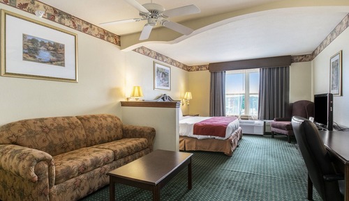 Suite estudio, 1 cama de matrimonio grande, no fumadores