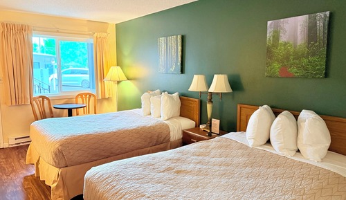 Habitación estándar, varias camas (Pet Friendly)