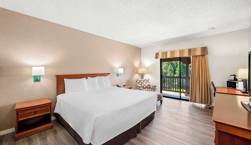 Suite, 1 cama de matrimonio grande, no fumadores (Living Room;with Sofabed)