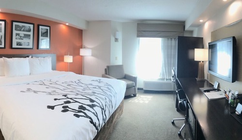 Habitación estándar, 1 cama de matrimonio grande, no fumadores