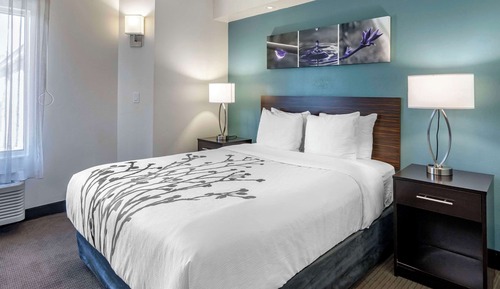 Habitación, 1 cama de matrimonio, accesible para personas con discapacidad, no fumadores