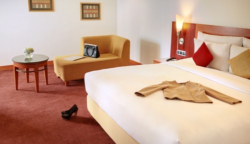 Habitación Deluxe, 1 cama de matrimonio grande (Executive)