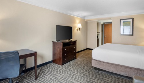 Habitación estándar, 1 cama de matrimonio grande, no fumadores, frigorífico y microondas