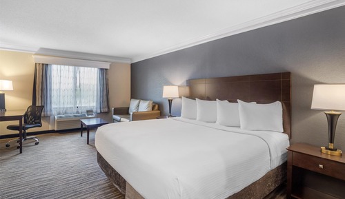 Habitación estándar, 1 cama de matrimonio grande, no fumadores, microondas