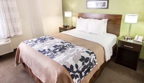 Habitación, 1 cama de matrimonio, no fumadores