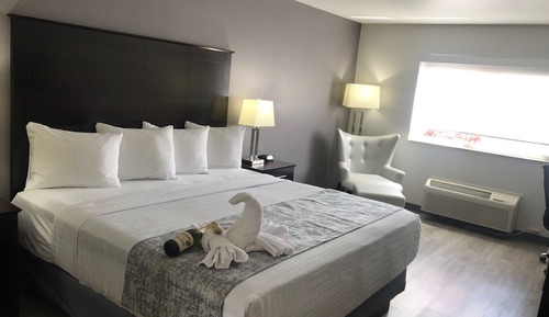 Estudio estándar, 1 cama de matrimonio