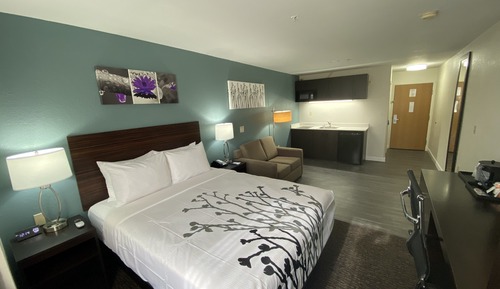 Suite, 1 cama de matrimonio con sofá cama, no fumadores (Efficiency)