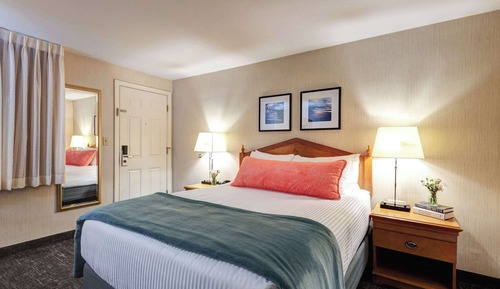 Habitación estándar, 1 cama de matrimonio, no fumadores