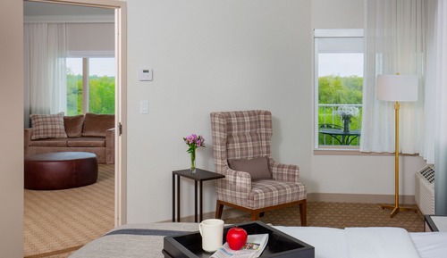 Suite ejecutiva, 1 cama de matrimonio grande con sofá cama (No water park included)