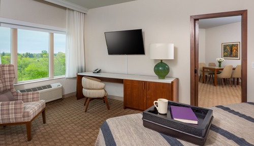Suite presidencial, 1 habitación (No water park included)