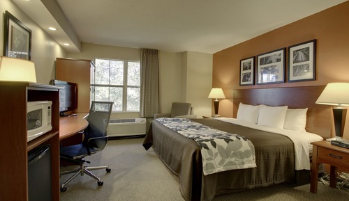 1 Queen Bed, Nonsmoking, Accessible