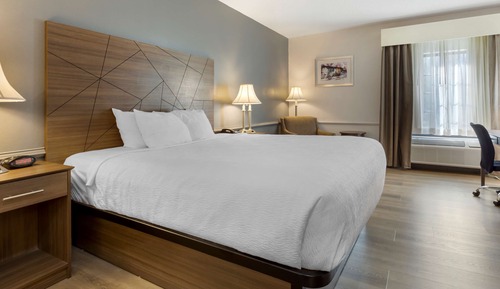 Habitación estándar, 1 cama de matrimonio grande, no fumadores, frigorífico y microondas