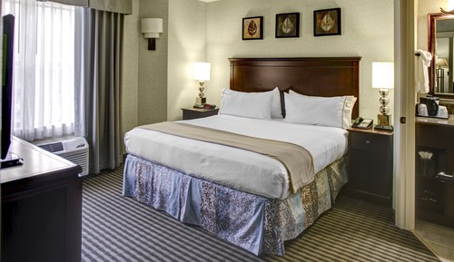 Habitación estándar, 1 cama de matrimonio grande (Mobil Roll Shwr)