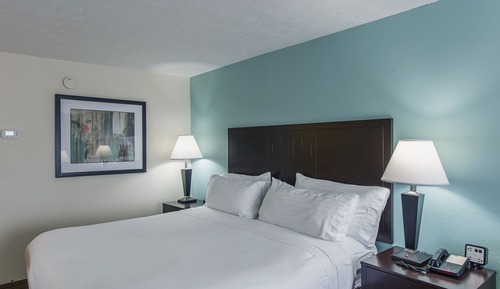 Habitación estándar, 1 cama de matrimonio grande con sofá cama