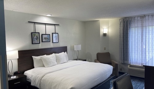 Habitación estándar, 1 cama de matrimonio grande, no fumadores