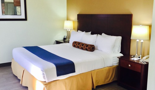 Suite, 1 cama de matrimonio grande, no fumadores, cocina básica (with Sofabed)