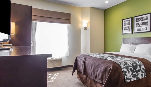 Habitación, 1 cama de matrimonio, accesible para personas con discapacidad, no fumadores