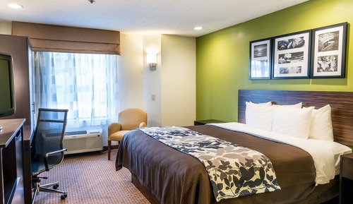 Habitación estándar, 1 cama de matrimonio grande, no fumadores