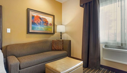 Habitación estándar, 1 cama de matrimonio grande, no fumadores (Walk-in Shower;with Sofabed)