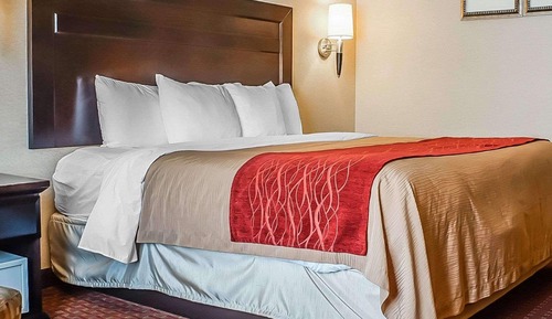 Habitación estándar, 1 cama de matrimonio grande, no fumadores