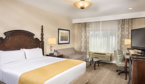 Suite estudio, 1 cama de matrimonio grande con sofá cama, planta baja