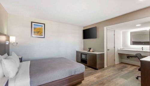 Habitación estándar, 1 cama de matrimonio, no fumadores