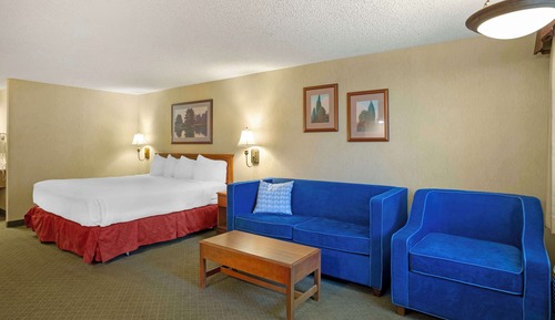 Habitación estándar, 1 cama de matrimonio grande, no fumadores (with Sofabed)