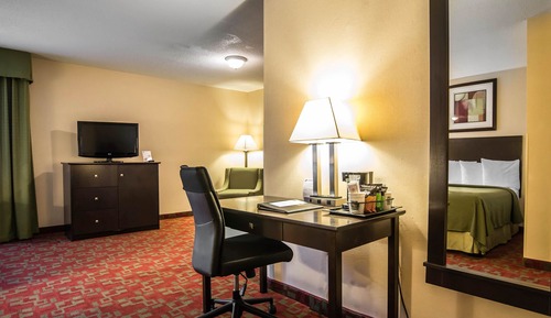 Habitación estándar, varias camas, no fumadores (Pets Allowed, 1 Person Sofa Bed)