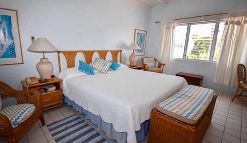 Suite, 1 habitación, vistas al jardín