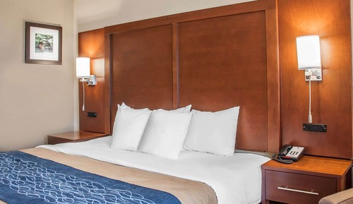 Habitación estándar, 1 cama de matrimonio grande, no fumadores