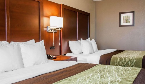 Habitación estándar, 2 camas de matrimonio, no fumadores