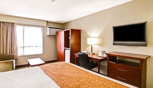 Standard King Non Smoking 1 person Sofa bed