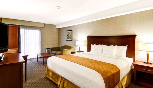 Standard King Non Smoking 1 person Sofa bed Desk