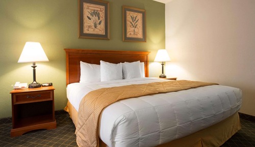 Habitación estándar, 1 cama de matrimonio grande, no fumadores