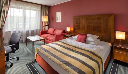 Habitación estándar, 1 cama de matrimonio, no fumadores