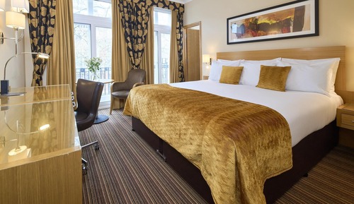 Habitación ejecutiva doble, 1 cama de matrimonio grande