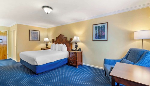 Habitación estándar, 1 cama de matrimonio grande, no fumadores (Pet Friendly)