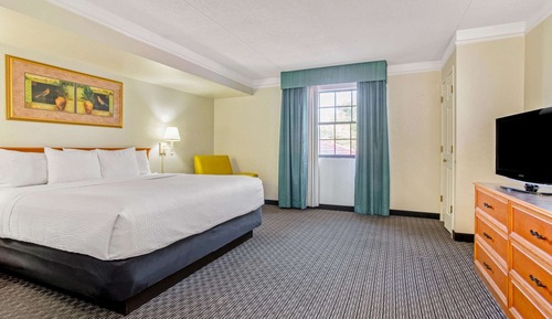 Suite, 1 cama de matrimonio grande, no fumadores