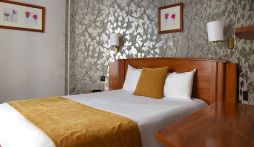Habitación individual Confort