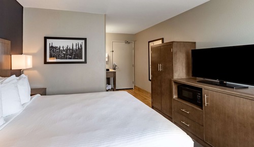 Habitación estándar, 1 cama de matrimonio, no fumadores, frigorífico y microondas (Small Room)