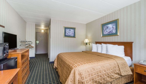 Habitación, 1 cama de matrimonio, accesible en silla de ruedas, no fumadores (Roll-In Shower)