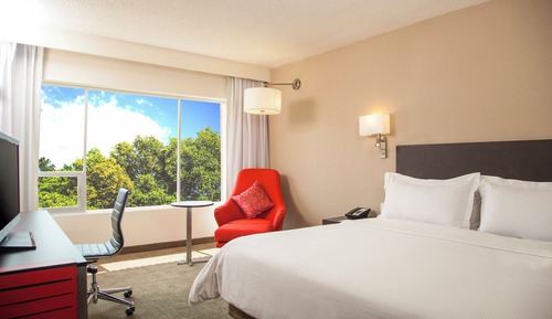 Superior Room King